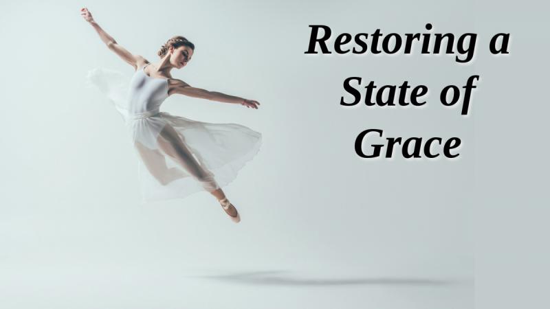 Restoring a State of Grace: Wild animals and children hold a natural grace lacking in most adults